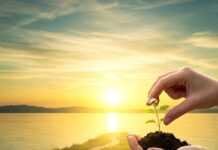 Living with PTSD: 6 Tips That Help Real People Cope Healing Plant Sunrise