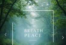 5 Breathing Exercises to Instantly Reduce Anxiety Breath and Peace