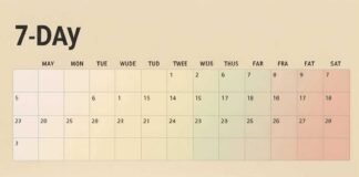 My Messy 7-Day Intermittent Fasting Meal Plan for Beginners 7-Day IF Wellness Journey