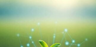 Hopeful Sprout of Recovery