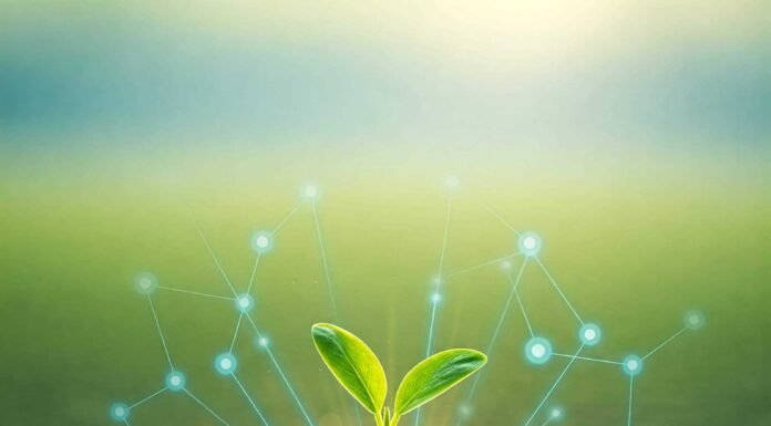 Top Depression Treatments You Haven’t Heard About Hopeful Sprout of Recovery