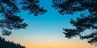 Meditating by serene shore