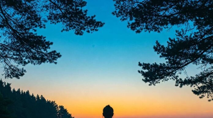 Meditation for Beginners: A Step-by-Step Starter Guide Meditating by serene shore