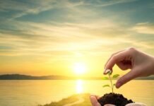 Living with PTSD: 6 Tips That Help Real People Cope Healing Plant Sunrise