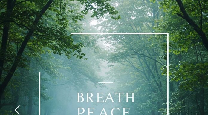 5 Breathing Exercises to Instantly Reduce Anxiety Breath and Peace